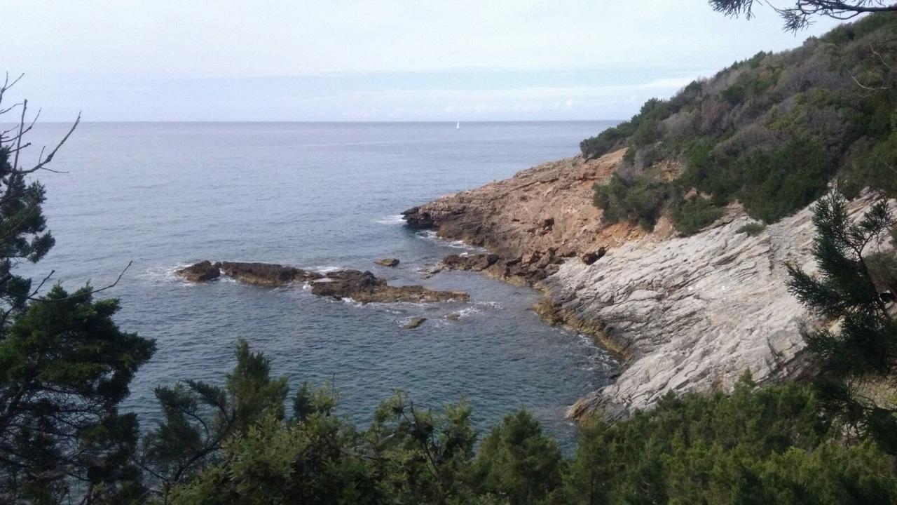 Casa San Giuseppe - Isola D'Elba Hotel Cavo Buitenkant foto